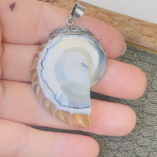 Sale - 2" Nautilus Shell Sterling Silver Pendant Necklace (18")