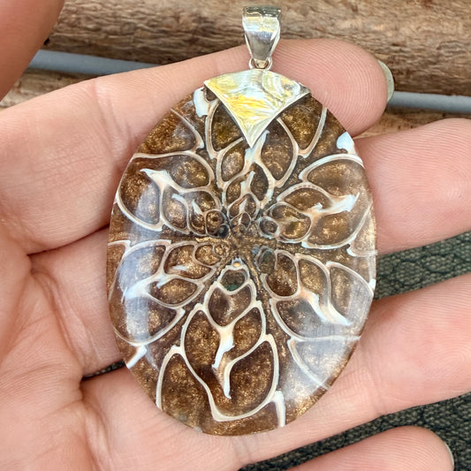 Sale - 2.2" Nautilus Shell Resin Sterling Silver on 18" Sterling Silver Chain