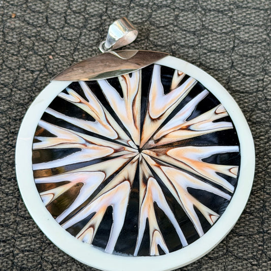 Sale - 2.25” Nautilus Shell Sterling Silver on 18" Sterling Silver Chain