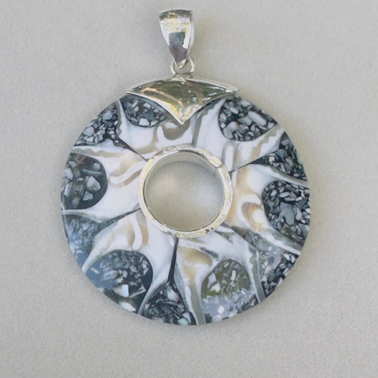 Sale - 2.3" Brown Spider Nautilus Shell Sterling Silver on 18" Sterling Silver Chain