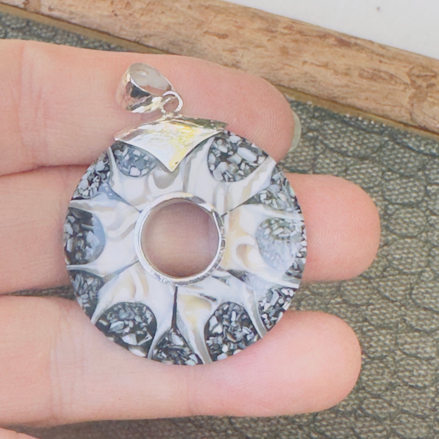 Sale -  2.3" Brown Spider Nautilus Shell Sterling Silver on 18" Sterling Silver Chain