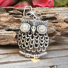 Load image into Gallery viewer, N0773  2.3” Owl Necklace
