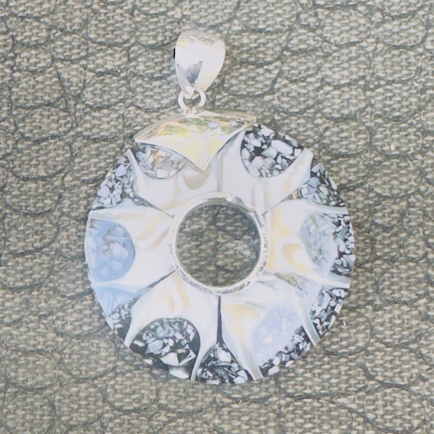 Sale -  2.3" Brown Spider Nautilus Shell Sterling Silver on 18" Sterling Silver Chain
