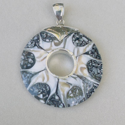 Sale -  2.3" Brown Spider Nautilus Shell Sterling Silver on 18" Sterling Silver Chain