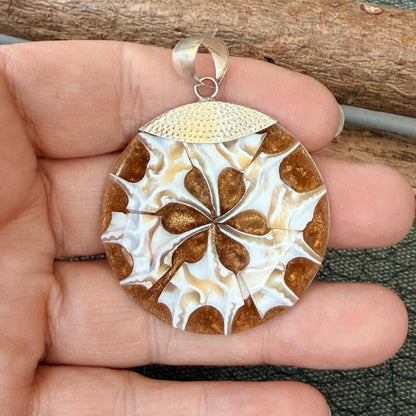 Sale - 2” Nautilus Shell Sterling Silver on 18" Sterling Silver Chain